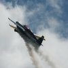 Modell-Flugschau Sport- und Segelfliegerclub Bad Waldsee- Reute e.V.