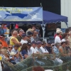 Modell-Flugschau Sport- und Segelfliegerclub Bad Waldsee- Reute e.V.