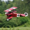 Modell-Flugschau Sport- und Segelfliegerclub Bad Waldsee- Reute e.V.