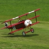 Modell-Flugschau Sport- und Segelfliegerclub Bad Waldsee- Reute e.V.