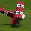 Modell-Flugschau Sport- und Segelfliegerclub Bad Waldsee- Reute e.V.