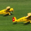 Modell-Flugschau Sport- und Segelfliegerclub Bad Waldsee- Reute e.V.