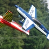 Modell-Flugschau Sport- und Segelfliegerclub Bad Waldsee- Reute e.V.