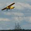 Modell-Flugschau Sport- und Segelfliegerclub Bad Waldsee- Reute e.V.