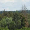 Modell-Flugschau Sport- und Segelfliegerclub Bad Waldsee- Reute e.V.
