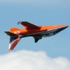 Modell-Flugschau Sport- und Segelfliegerclub Bad Waldsee- Reute e.V.