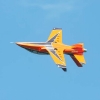 Modell-Flugschau Sport- und Segelfliegerclub Bad Waldsee- Reute e.V.
