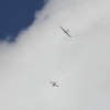 Modell-Flugschau Sport- und Segelfliegerclub Bad Waldsee- Reute e.V.
