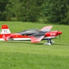 Modell-Flugschau Sport- und Segelfliegerclub Bad Waldsee- Reute e.V.