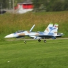 Modell-Flugschau Sport- und Segelfliegerclub Bad Waldsee- Reute e.V.
