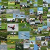 Modell-Flugschau Sport- und Segelfliegerclub Bad Waldsee- Reute e.V.