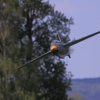 Modellflugtag Flugmodellsportgruppe Ertingen e.V. 08.05.2016