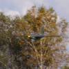 Modellflugtag Modellbaugruppe Biberach e.V. 26.09.2010