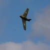Modellflugtag Modellbaugruppe Biberach e.V. 26.09.2010