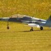1dfh-msc-nagold-26070-035
