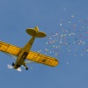 1dfh-msc-nagold-26070-077