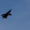 1dfh-msc-nagold-26070-098