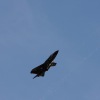 1dfh-msc-nagold-26070-099