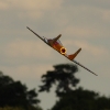 1dfh-msc-nagold-26070-021