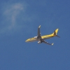 1dfh-msc-nagold-26070-022