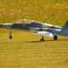 1dfh-msc-nagold-26070-035