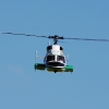 1dfh-msc-nagold-26070-039
