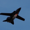 1dfh-msc-nagold-26070-097