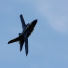 1dfh-msc-nagold-26070-102