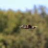 Modellflugtag Oldtimertreffen Hülben 25.07.2015
