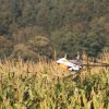 Modellflugtag Seekirch 2013