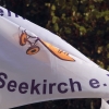 Modellflugtag Seekirch 2013