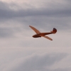 Modellflugtag Seekirch 2013
