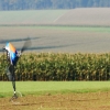 Modellflugtag Seekirch 2014