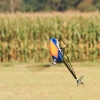 Modellflugtag Seekirch 2014