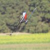 Tag der Deutschen Modellflieger Modellfluggruppe Seekirch 03.10.2015