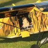 Tag der Deutschen Modellflieger Modellfluggruppe Seekirch 03.10.2015