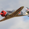 Modellflugtag Tag der Deutschen Modellflieger Modellfluggruppe Seekirch 03.10.2016