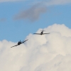 Modellflugtag Tag der Deutschen Modellflieger Modellfluggruppe Seekirch 03.10.2016