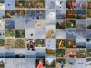 Modellflugtage Esslingen 17.09.2016