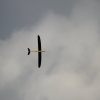Modellflugtage Esslingen 20.09.2015