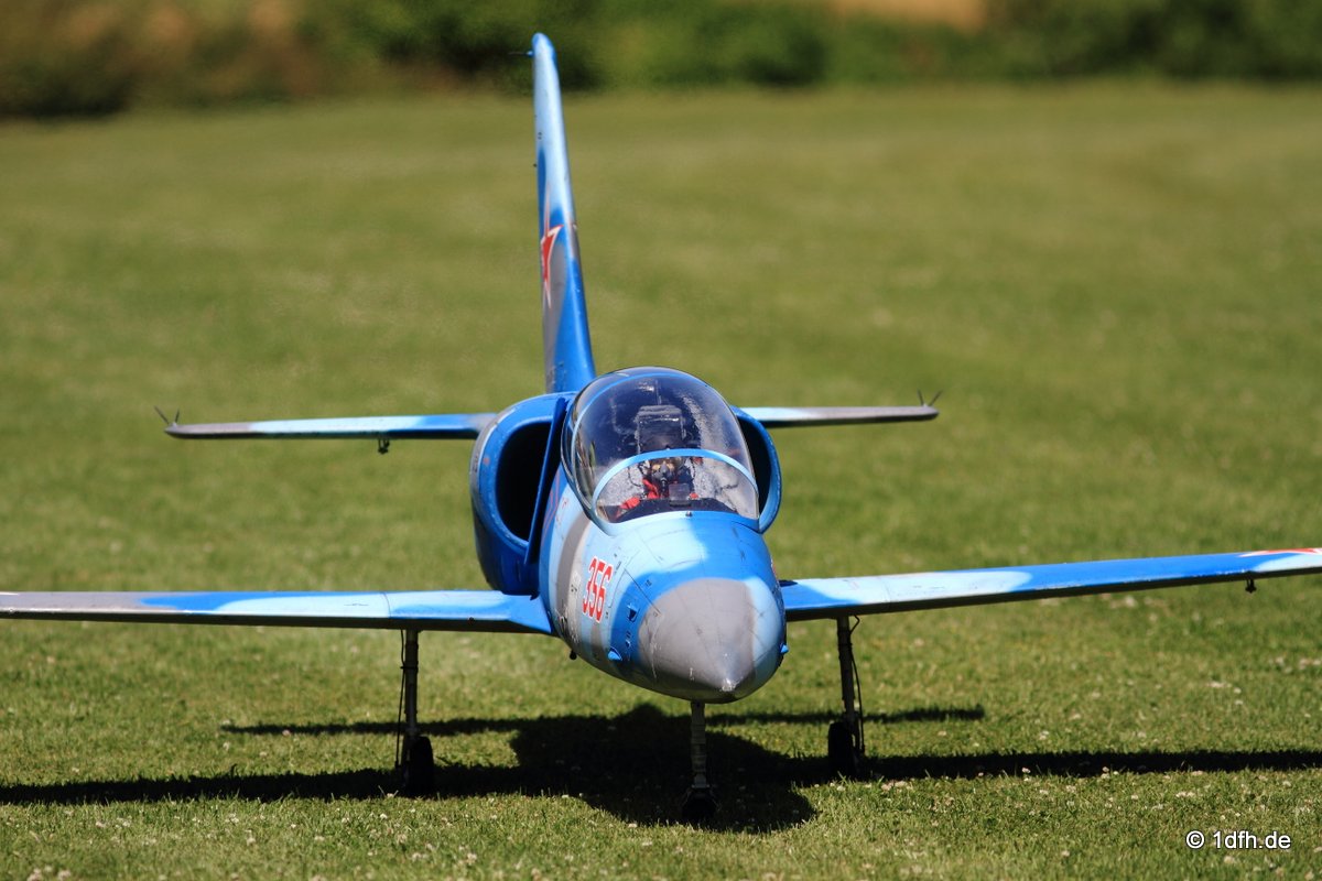 Modellflugtag Modellsportverein Langenau e.V. 10.07.201