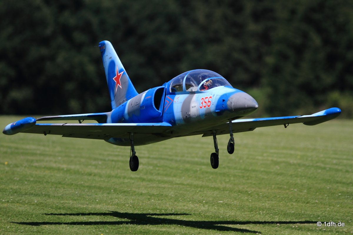 Modellflugtag Modellsportverein Langenau e.V. 10.07.201