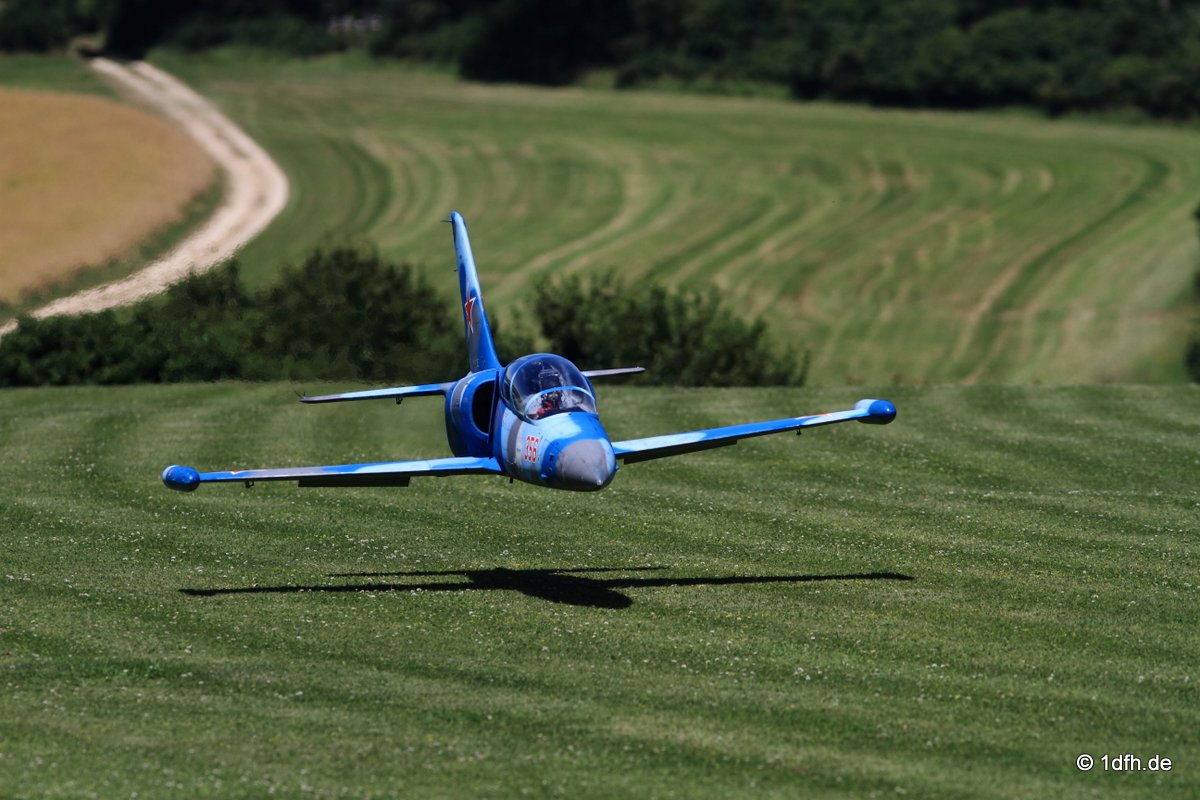 Modellflugtag Modellsportverein Langenau e.V. 10.07.201
