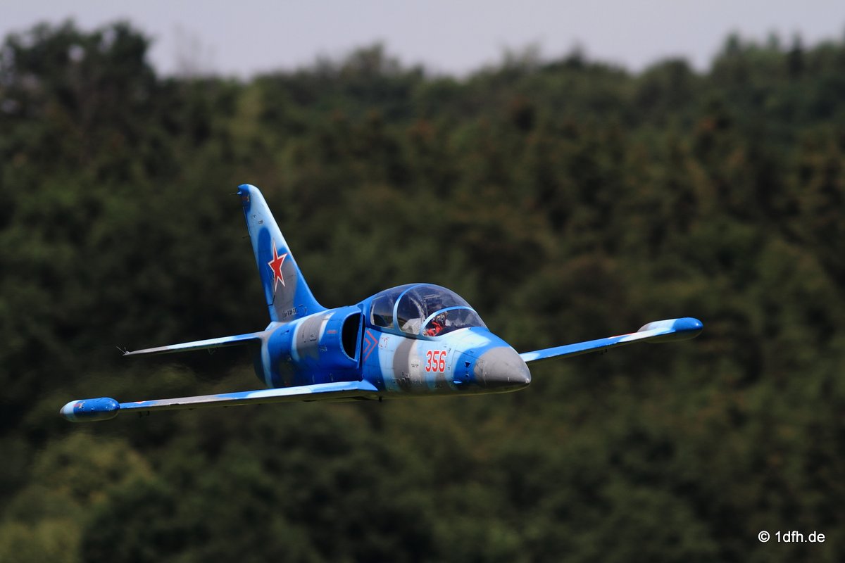 Modellflugtag Modellsportverein Langenau e.V. 10.07.201