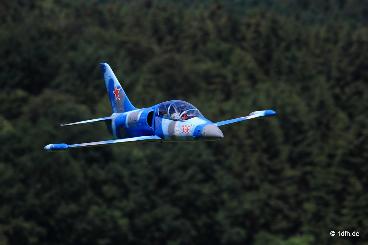 Modellflugtag Modellsportverein Langenau e.V. 10.07.201