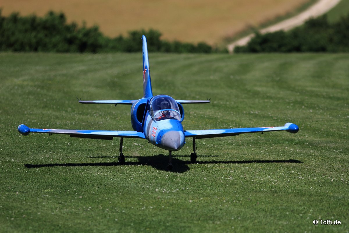 Modellflugtag Modellsportverein Langenau e.V. 10.07.201