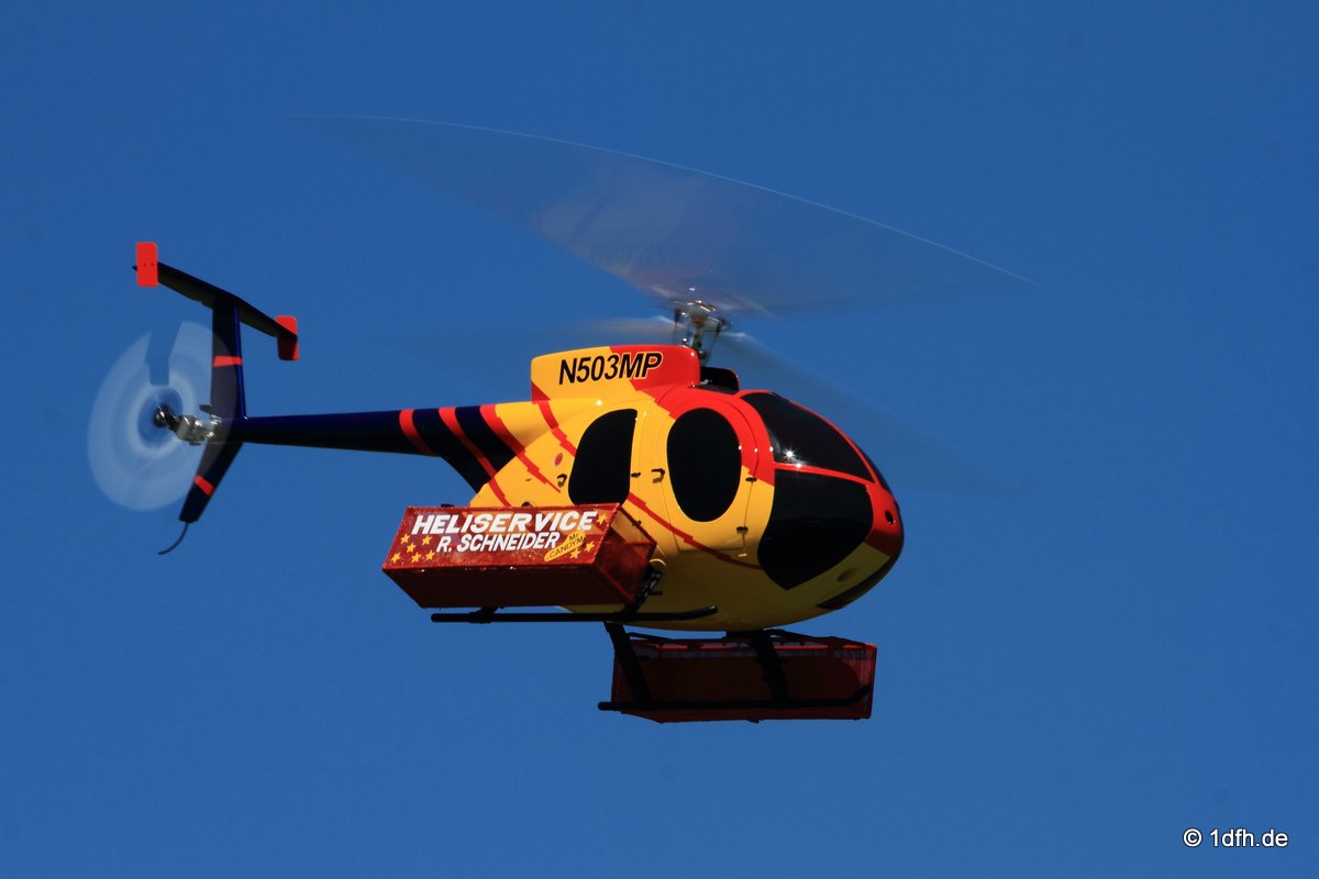 Modellflugtag Modellsportverein Langenau e.V. 10.07.201
