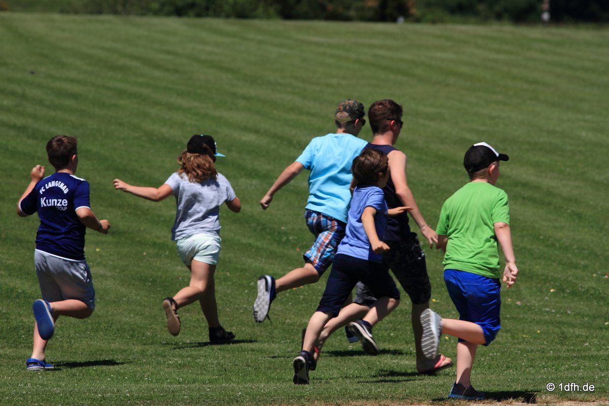 Modellflugtag Modellsportverein Langenau e.V.  10.07.201
