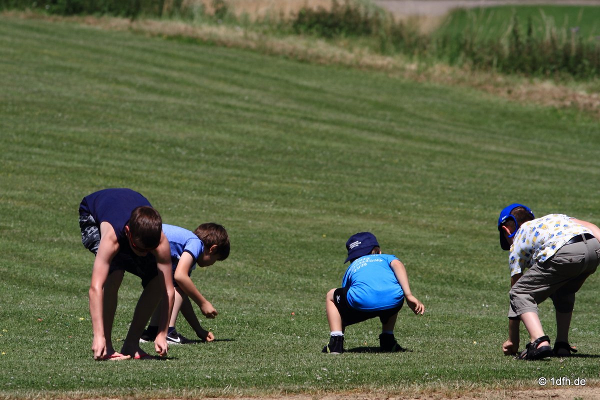 Modellflugtag Modellsportverein Langenau e.V.  10.07.201