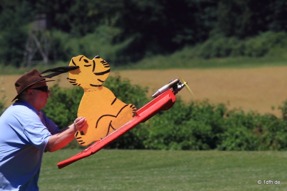 Modellflugtag Modellsportverein Langenau e.V.  10.07.201